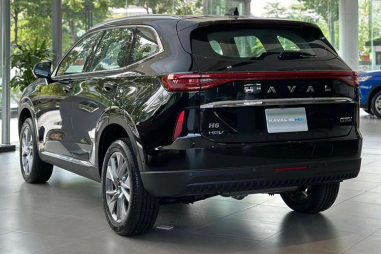 Ngoài giảm tiền mặt, khách hàng mua xe Haval H6 tại Việt Nam sẽ nhận được thẻ ưu đãi dịch vụ trị giá 50 triệu đồng (giảm 10% tổng giá trị phiếu quyết toán dịch vụ trước VAT), sử dụng được khi làm bảo dưỡng, sửa chữa, đồng sơn tại hệ thống xưởng (không áp dụng bảo hiểm). Thẻ này có hiệu lực trong vòng 36 tháng.