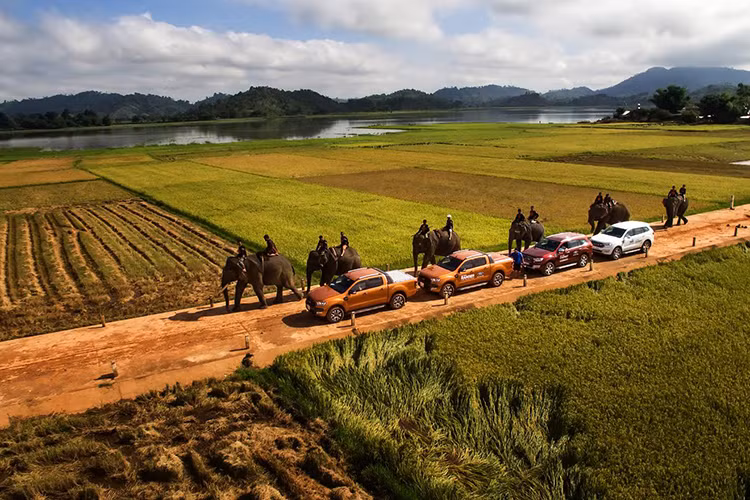 Ford Viet Nam ban ra 2.451 xe trong thang 5/2017