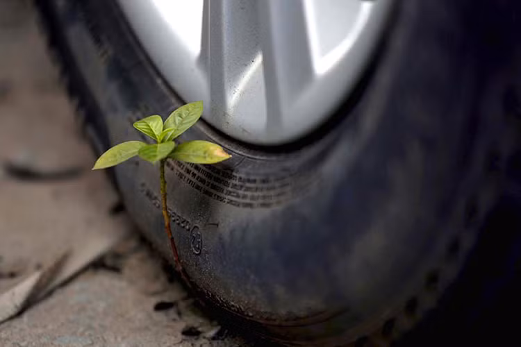 Nếu không có gì thay đổi, từ 1/1/2018, THACO sẽ trở thành nhà đầu tư nhập khẩu chính thức các dòng xe BMW và MINI tại thị trường Việt Nam với Tập đoàn BMW châu Á. Tuy nhiên, hiện nay THACO chưa có bất cứ liên quan nào đến xe BMW tại Việt Nam. Hợp đồng cụ thể giữa BMW tại Đức và THACO cũng chưa được ký kết.