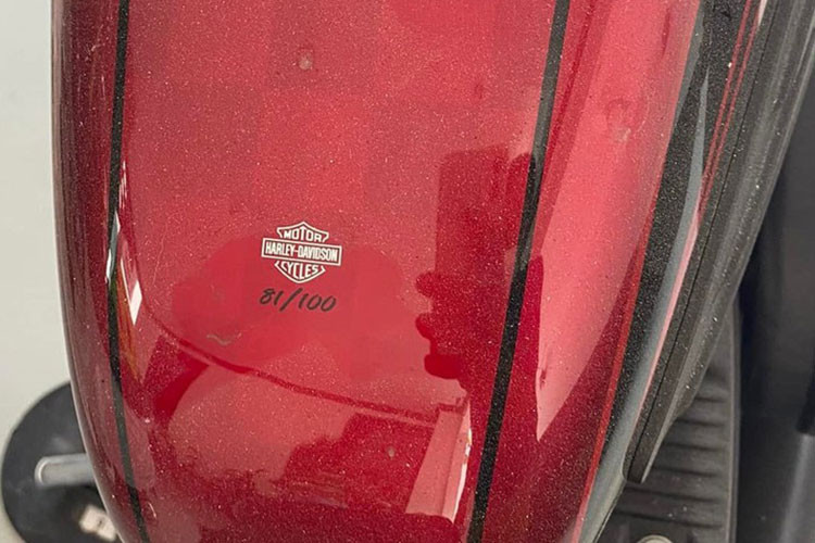 Mẫu xe 883 Café Racer này được Harley-Davidson độ lại theo hình ảnh những chiếc cafe racer cổ điển ở thập niên 70 của thế kỷ trước. Cụm ghi đông và trảng ba của xe thay đổi bằng ghi đông clip-on racing, phù hợp với việc tạo ra tư thế lái ngồi chồm đặc trưng cho xe đua.