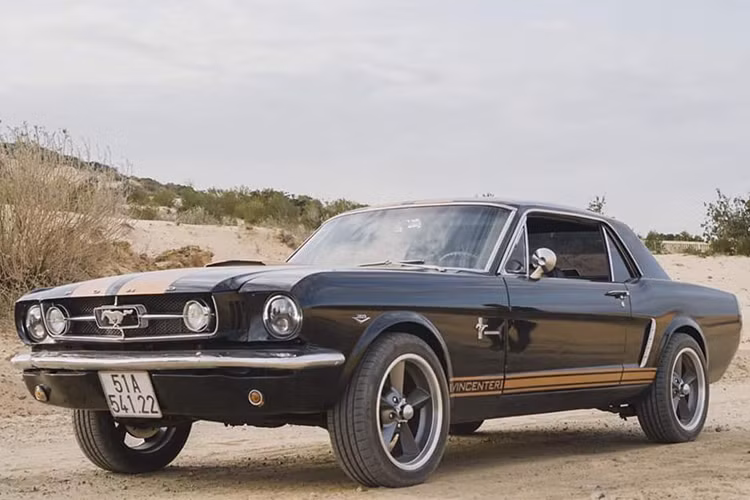 Hiện nay, số lượng Ford Mustang cổ tại Việt Nam chỉ trên chục chiếc, những chiếc xe còn đẹp và vận hành bình thường không còn nhiều. Giá xe Ford Mustang 1965 đang được chủ nhân tại TP HCM rao bán hơn 1 tỷ đồng tại Việt Nam, ngang một chiếc Toyota Camry đời mới.