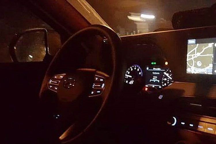 Khả năng cao Hyundai Palisade 2020 sẽ sử dụng động cơ xăng V6 3.3L tăng áp kép (lấy từ K900; Kia Stinger) cho công suất tối đa 290 mã lực; động cơ V6 3.5L hybrid mạnh mẽ hơn với tổng công suất 400 mã lực hoặc động cơ 4 xy-lanh 2.0L tăng áp mạnh 235 mã lực của SantaFe 2019.