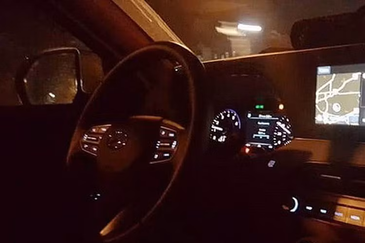 Khả năng cao Hyundai Palisade 2020 sẽ sử dụng động cơ xăng V6 3.3L tăng áp kép (lấy từ K900; Kia Stinger) cho công suất tối đa 290 mã lực; động cơ V6 3.5L hybrid mạnh mẽ hơn với tổng công suất 400 mã lực hoặc động cơ 4 xy-lanh 2.0L tăng áp mạnh 235 mã lực của SantaFe 2019.