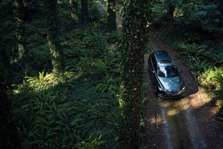 Trang bị an toàn cho xe khá đầy đủ với 6 túi khí, hệ thống chống bó cứng phanh ABS, phân bổ lực phanh điện tử, hỗ trợ lực phanh khẩn cấp và hỗ trợ khởi hành ngang dốc. Bên cạnh đó là hệ thống an toàn chủ động i-ActivSense, đèn pha LED thích ứng, phát hiện điểm mù, cảnh báo phương tiện cắt ngang khi lùi, cảnh báo chệch làn đường, hỗ trợ giữ làn đường, cảnh báo mất tập trung cho người lái và phanh thông minh...