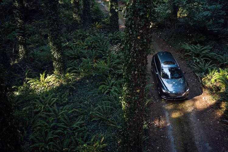 Trang bị an toàn cho xe khá đầy đủ với 6 túi khí, hệ thống chống bó cứng phanh ABS, phân bổ lực phanh điện tử, hỗ trợ lực phanh khẩn cấp và hỗ trợ khởi hành ngang dốc. Bên cạnh đó là hệ thống an toàn chủ động i-ActivSense, đèn pha LED thích ứng, phát hiện điểm mù, cảnh báo phương tiện cắt ngang khi lùi, cảnh báo chệch làn đường, hỗ trợ giữ làn đường, cảnh báo mất tập trung cho người lái và phanh thông minh...