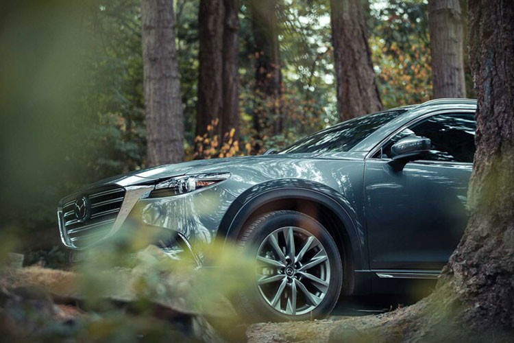 Điểm nhấn đáng chú ý của Mazda CX-9 2021 tại Malaysia chính là gói phụ kiện ngoại thất mang tên Ignite Edition tiêu chuẩn. Gói phụ kiện này bổ sung lưới tản nhiệt và ốp gương ngoại thất màu đen bóng cho xe. Thêm vào đó là bộ vành hợp kim nhôm 20 inch cũng được sơn màu đen.