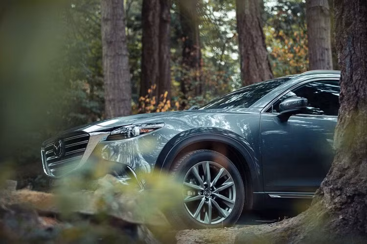 Điểm nhấn đáng chú ý của Mazda CX-9 2021 tại Malaysia chính là gói phụ kiện ngoại thất mang tên Ignite Edition tiêu chuẩn. Gói phụ kiện này bổ sung lưới tản nhiệt và ốp gương ngoại thất màu đen bóng cho xe. Thêm vào đó là bộ vành hợp kim nhôm 20 inch cũng được sơn màu đen.