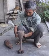 Nhung cai “bay tu than” rinh rap o trong rung-Hinh-4