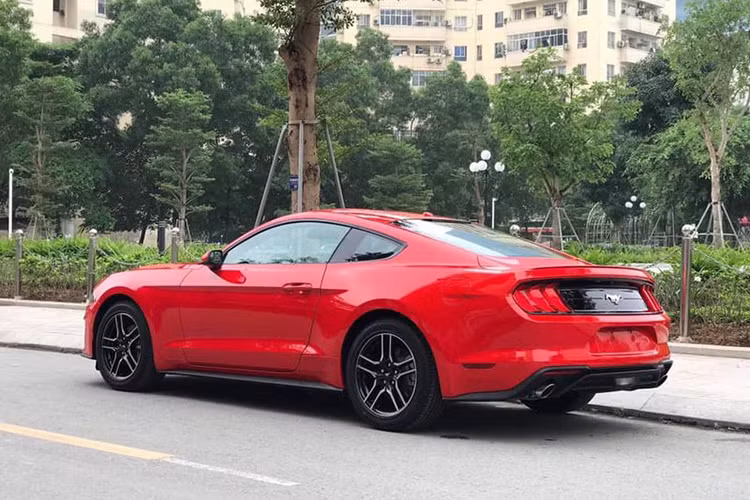Hiện tại, những chiếc Mustang thế hệ thứ 6 đặc biệt được ưa chuộng tại Việt Nam. Bước sang thế hệ nâng cấp đời mới, mẫu xe thể thao đến từ Mỹ đã xuất hiện khá nhiều bởi các nhà nhập khẩu tư nhân nhưng chủ yếu vẫn là những phiên bản 2.3 EcoBoost - những bản cảo cấp hơn thường chủ yếu được khách đặt hàng.