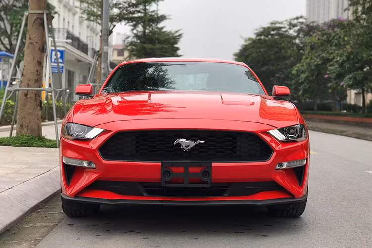 Khi so sánh với thế hệ 2018, Ford Mustang 2019 không có sự thay đổi nào đáng kể từ ngoại thất. Phần mui xe trên bản 2019 cũng giống như phiên bản 2018, đã được hạ thấp xuống 20mm, cụm lưới tản nhiệt và đèn pha cũng được được tái thiết kế để đem đến cái nhìn sắc nét và hiện đại hơn.