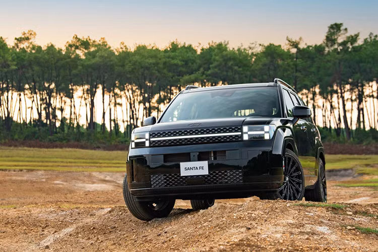 Hyundai SantaFe thế hệ mới đã có tháng bán hàng thứ 2 đầy thành công với 1.007 xe bàn giao đến tay khách hàng, tăng 32,8% theo tháng. Đây cũng là kết quả kinh doanh tốt nhất của mẫu xe Hàn trong suốt 10 tháng qua. Dẫu vậy, SantaFe vẫn chỉ dừng ở vị trí á quân, chưa thể tìm lại hào quang người dẫn đầu như trước.