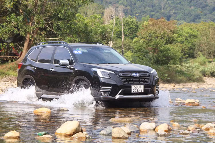Subaru Forester tai Viet Nam tiep da giam cao nhat toi 250 trieu dong-Hinh-2