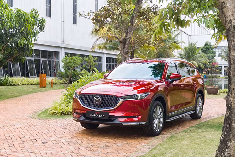Trong tháng 5 vừa qua, Mazda CX-8 là một trong hai mẫu xe có sự tăng trưởng khi bán được 216 xe, tăng 36 xe so với tháng trước. Với kết quả này CX-8 vẫn đứng ở vị trí thứ 4 trong phân khúc.