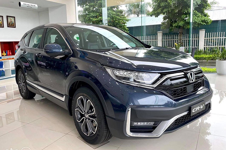 Oto nhap khau tai Viet Nam san sang choi lon 