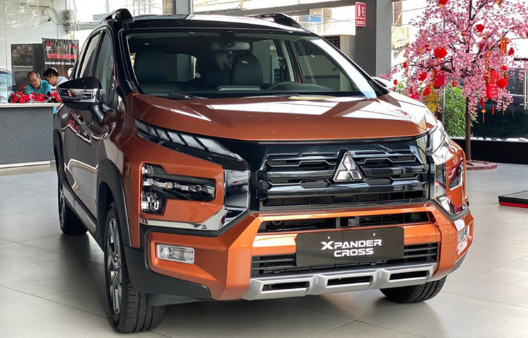 Oto nhap khau tai Viet Nam san sang choi lon 