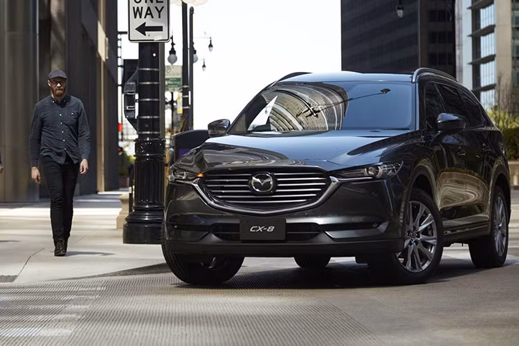 Theo thông tin từ Thaco Trường Hải, Việt Nam là thị trường đầu tiên tại Đông Nam Á và là thị trường thứ ba trên toàn cầu được Mazda Nhật Bản lựa chọn để chính thức ra mắt và phân phối mẫu Mazda CX-8 2019 mới. Trước đó, tháng 2/2019, Mazda CX-8 xuất hiện tại thị trường Malaysia nhưng chỉ dưới hình thức trưng bày.