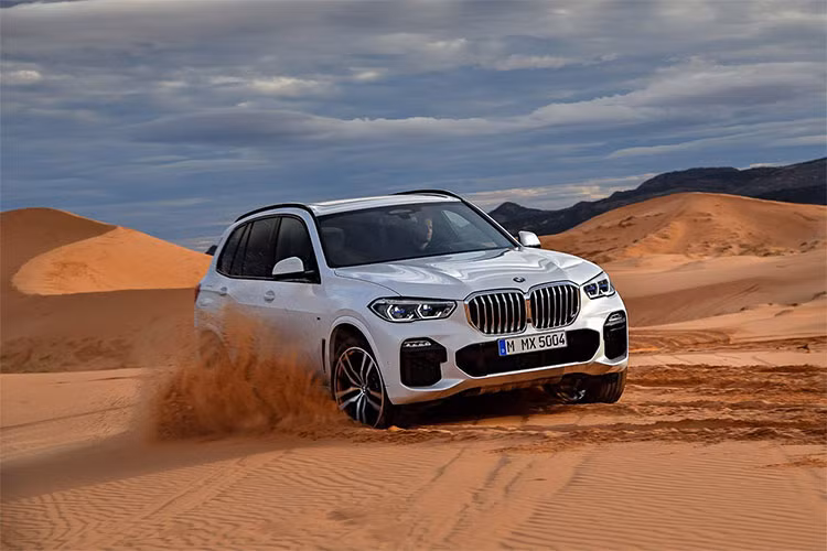 BMW X5 2019 thế hệ hoàn toàn mới (G05) ra đời để cạnh tranh trực tiếp với những đối thủ như: Mercedes-Benz GLE, Audi Q7 và Volvo XC90 hay Porsche Cayenne. Hiện tại, BMW X5 là mẫu xe SUV hạng sang hàng đầu của BMW khi chiếc X8 phiên bản thương mại vẫn chưa được ra mắt.
