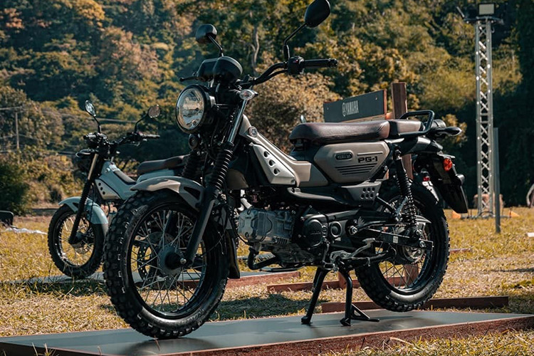 Mẫu xe máy Yamaha PG-1 2024 có 6 tùy chọn màu sắc, gồm: Cam Bạc, Xanh Dương, Đen Bạc, Vàng Đen, Nâu Cát và Xanh Rêu Đen. Thời gian giao hàng dự kiến vào tháng 12/2023. So với mức bán ra tại Thái Lan tương đương khoảng 45 triệu đồng, thì giá xe Yamaha PG-1 tại Việt Nam rẻ hơn chỉ 30,5 triệu đồng. 