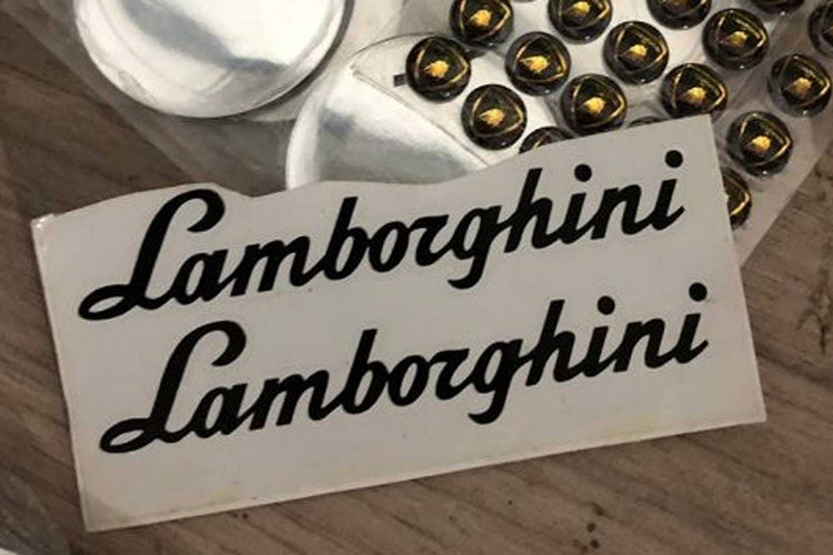 Cũng theo cảnh sát địa phương, cuộc điều tra đã bắt đầu từ 2 tháng trước, sau khi nhận được đơn khiếu nại của một công ty luật tại Sao Paulo đại diện cho hai hãng siêu xe Ferrari và Lamborghini. Hai hãng này đã liên kết và lập ra 1 nhóm điều tra để tìm ra các vụ làm nhái siêu xe bất hợp pháp tại một số quốc gia và họ đã tìm ra hoạt động này tại Brazil.