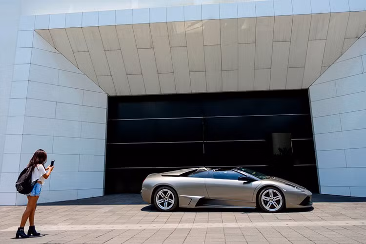 "Sẽ không còn tình trạng này nữa. Giờ đây, Tổng thống ra lệnh cho chúng tôi phải trao trả những thứ này về cho người dân vốn là chủ nhân thực sự của chúng bằng phương thức nhanh chóng, minh bạch và rõ ràng", ông Ricardo Rodríguez Vargas cho biết.