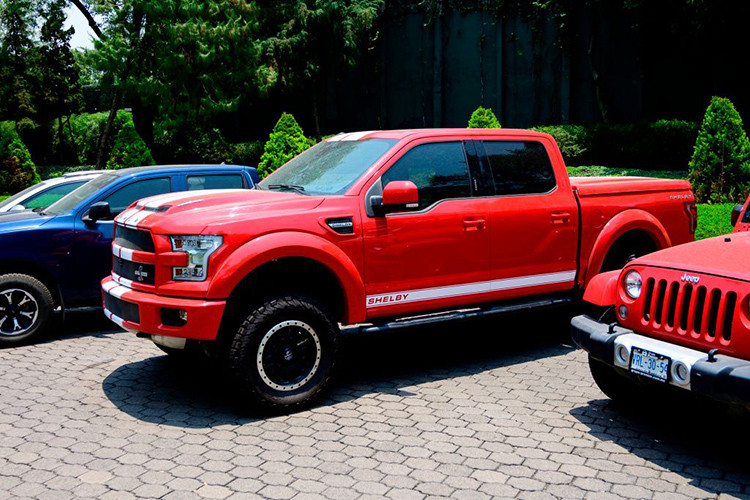 "Robin Hood ngược" là cụm từ ám chỉ việc "lấy của người dân và chia cho kẻ tham nhũng" tại đất nước này. Chính vì vậy những mẫu xe sang, thậm chí còn có một dàn xe Chevrolet Suburban bọc thép chống đạn, những chiếc xe sang mang thương hiệu Mercedes-Benz và Porsche... sẽ bán để gây quỹ cho người nghèo.