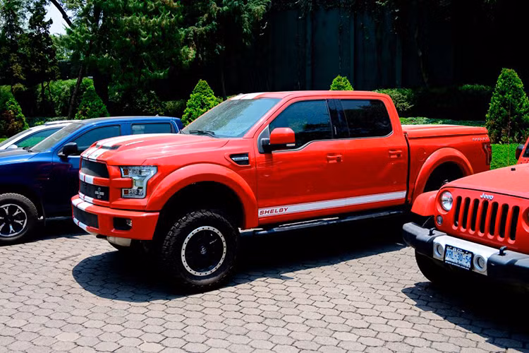 "Robin Hood ngược" là cụm từ ám chỉ việc "lấy của người dân và chia cho kẻ tham nhũng" tại đất nước này. Chính vì vậy những mẫu xe sang, thậm chí còn có một dàn xe Chevrolet Suburban bọc thép chống đạn, những chiếc xe sang mang thương hiệu Mercedes-Benz và Porsche... sẽ bán để gây quỹ cho người nghèo.