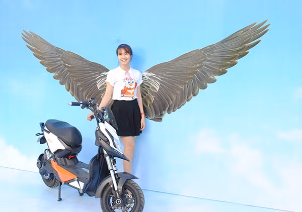 Xe dien Anbico chao he 2017 cuc chat o "Ha Tinh minh thuong"-Hinh-2