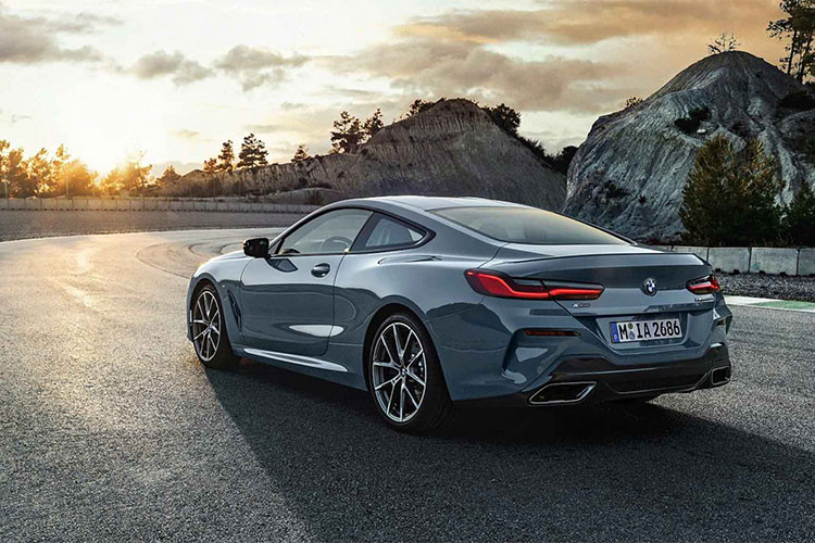 Khách hàng khi mua mẫu xe 8-Series phiên bản 2019 có thể tùy chọn để ''giảm cân'' cho xe với gói trang bị các chi tiết làm bằng vật liệu nhựa dẻo gia cường sợi carbon CFRP (carbon-fibre-reinforced plastic) cho các chi tiết như: Bộ khuếch tán khí động cản sau, ốp gương, cánh lướt gió...