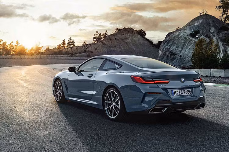 Khách hàng khi mua mẫu xe 8-Series phiên bản 2019 có thể tùy chọn để ''giảm cân'' cho xe với gói trang bị các chi tiết làm bằng vật liệu nhựa dẻo gia cường sợi carbon CFRP (carbon-fibre-reinforced plastic) cho các chi tiết như: Bộ khuếch tán khí động cản sau, ốp gương, cánh lướt gió...