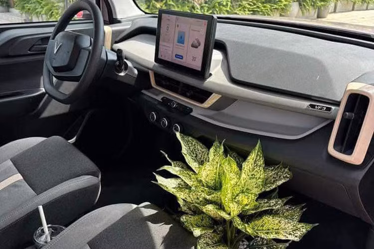 Về nội thất, VF3 được thiết kế tối giản nhằm tối ưu không gian cho 5 người ngồi bên trong. Những chi tiết ốp sơn cùng màu thân xe như viền cửa gió điều hòa... giúp nội thất trông trẻ trung hơn. Các tính năng thông minh cơ bản được tích hợp đầy đủ, đảm bảo trải nghiệm thoải mái và tiện nghi cho người dùng. 