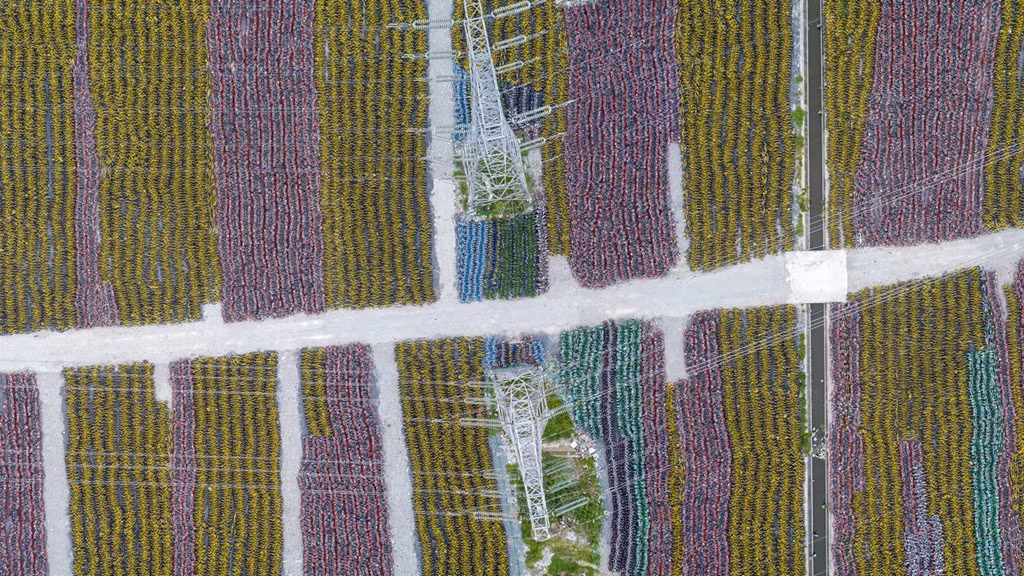 Giới cầm quyền Trung Quốc từng tự hào bốn phát minh thời hiện đại của nước này bao gồm đường sắt cao tốc, thanh toán điện tử, mua sắm trên mạng và ứng dụng chia sẻ xe đạp.