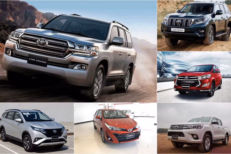 Nhung dot trieu hoi oto lon nhat tai Viet Nam nam 2021-Hinh-6