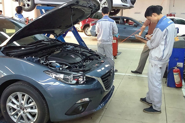 Nhung dot trieu hoi oto lon nhat tai Viet Nam nam 2021-Hinh-5