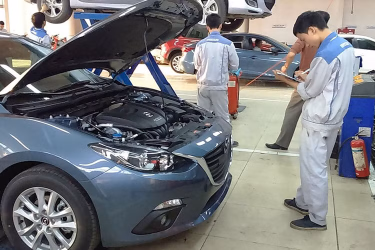 Nhung dot trieu hoi oto lon nhat tai Viet Nam nam 2021-Hinh-5