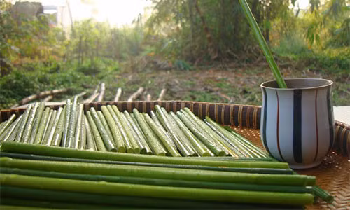 Các sản phẩm ống hút cỏ ra đời với mục đích thay đổi thói quen sử dụng nhiều ống hút nhựa vừa ảnh hưởng sức khỏe vừa gây hại cho môi trường. Ảnh: Thuận Hải.