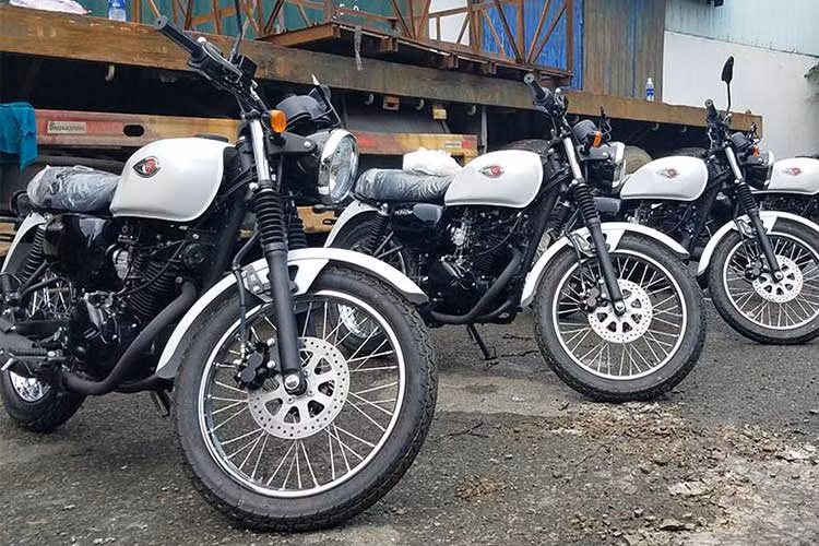 Tại thị trường Indonesia, W175 sẽ được bán với giá từ 29,8 triệu rupiah (tương đương 50 triệu đồng) và bản SE là 30,8 triệu rupiah (tương đương 51,7 triệu đồng). Khi về đến thị trường xe máy Việt, xe được một số đại lý tư nhân bán ra với giá từ 60 triệu đồng.