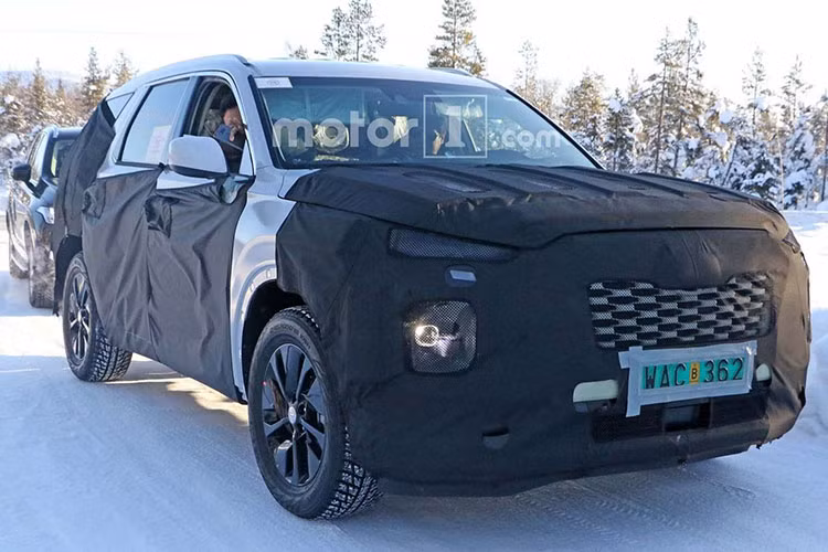 Palisade sẽ sử dụng chung nền tảng cơ khí với Kia Telluride, bao gồm hệ dẫn động cầu trước hoặc hệ dẫn động 4 bánh và động cơ. Cả hai mẫu xe sẽ được trang bị động cơ xăng V6 3.3L đang được sử dụng trên Kia Stinger. Sức mạnh truyền tới các bánh xe thông qua hộp số tự động 8 cấp.