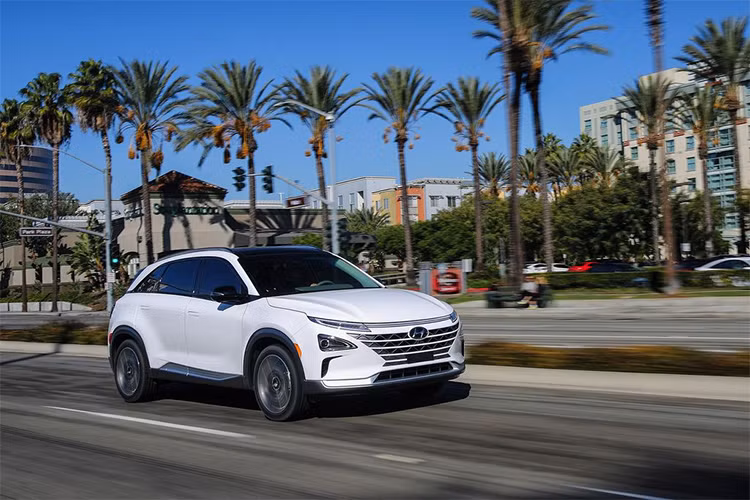 Giá bán Hyundai Nexo đã bao gồm khoản trợ giá của chính phủ đối với xe điện chạy bằng pin nhiên liệu và trợ cấp khu vực. Trên thực tế, nếu không được trợ giá thì mẫu xe điện này sẽ có mức giá khởi điểm là 63.875 USD (1,4 tỉ đồng) cho phiên bản Modern và 66.007 USD (1,5 tỉ đồng) phiên bản Premium.