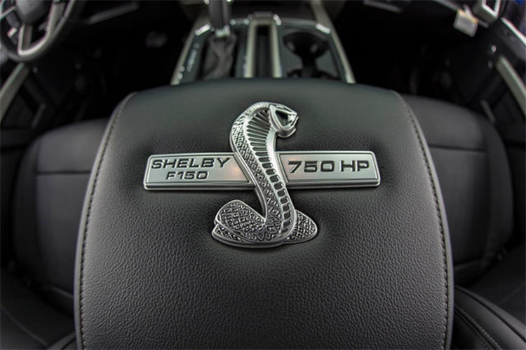 Về động lực, Ford F-150 Super Snake vẫn giữ nguyên khối động cơ 5.0 V8 nhưng đã nâng cấp một số chi tiết. Bộ phận nạp khí tự nhiên bị loại bỏ và được thay bởi một bộ siêu nạp, kèm theo cổ hút thoáng hơn, họng nạp bằng nhôm CNC và bộ kim phun nhiên liệu áp lực lớn.