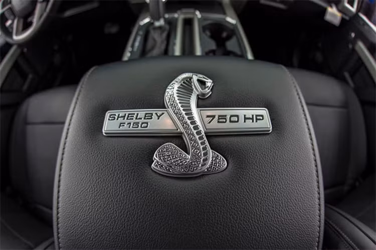 Về động lực, Ford F-150 Super Snake vẫn giữ nguyên khối động cơ 5.0 V8 nhưng đã nâng cấp một số chi tiết. Bộ phận nạp khí tự nhiên bị loại bỏ và được thay bởi một bộ siêu nạp, kèm theo cổ hút thoáng hơn, họng nạp bằng nhôm CNC và bộ kim phun nhiên liệu áp lực lớn.