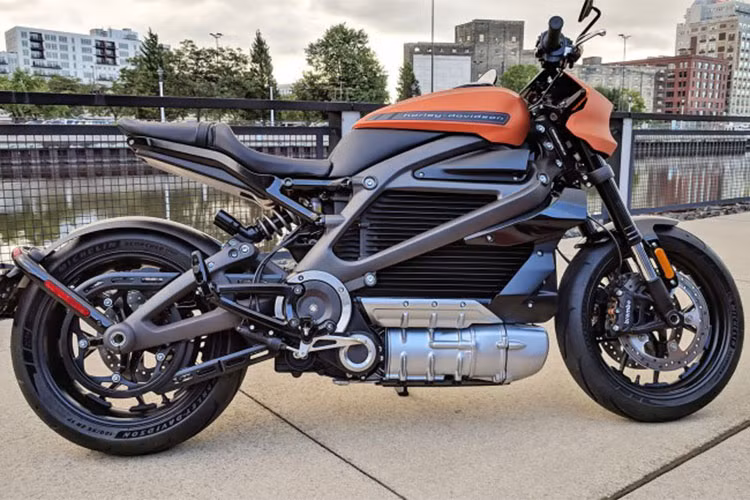 Harley-Davidson LiveWire 2019 không chỉ là mẫu xe điện duy nhất trong kế hoạch phát triển của Harley-Davidson. Đây sẽ là nền tảng cho những sản phẩm sau này của hãng dự kiến sẽ đến với khách hàng vào 2022.