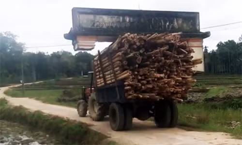 Xe cong nong cho keo 