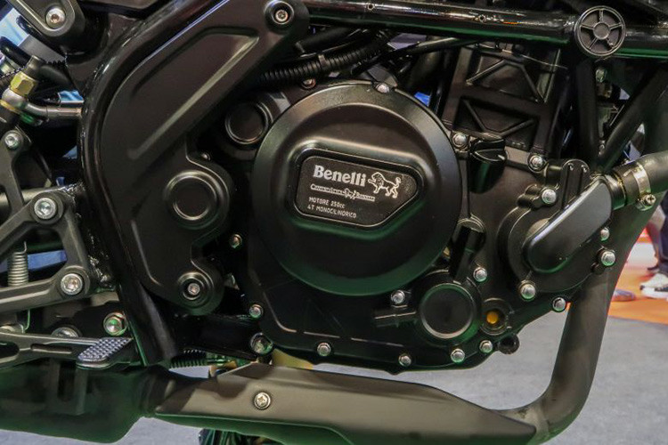 Trái tim của xe là khối động cơ xylanh đơn, DOHC, dung tích 249 cc, làm mát bằng dung dịch, đi kèm là hộp số 6 cấp và hệ thống phun xăng điện tử. Nhờ trang bị này mà Benelli Leoncino 250 có công suất 26,8 mã lực tại tua máy 10.500 vòng/phút và mômen xoắn cực đại 21 Nm tại tua máy 9.000 vòng/phút.