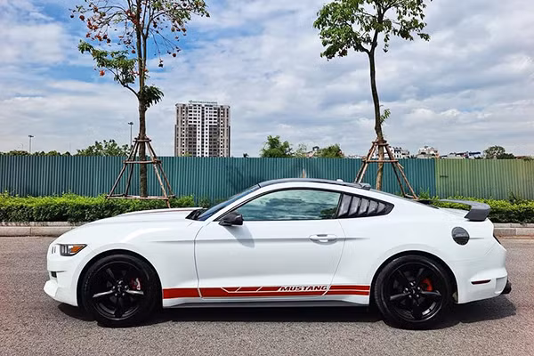 Mẫu xe thể thao Ford Mustang 2015 trong bài viết này thuộc thế hệ thứ 6 có thiết kế mới, kích thước của xe khá đồ sộ với số đo dài, rộng, cao (4.784 x 1.916 x 1.381)mm, chiều dài cơ sở 2.720 mm, trọng lượng 1.598 kg. Xe sở hữu bộ mặt dữ dằn với cặp đèn pha mắt xếch phối hợp hài hòa với lưới tản nhiệt 2 tầng màu đen cỡ lớn.