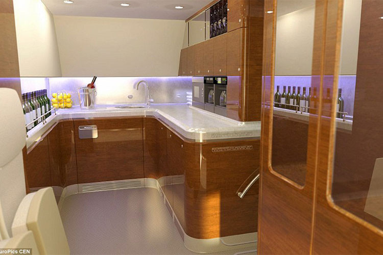 Hạm đội máy bay phục vụ Tổng thống Nga Putin có đến 68 chiếc, trong đó 64 chiếc hoạt động, 4 chiếc dự trữ. Mỗi khi tổng thống công du nước ngoài, 4 máy bay chính sẽ sẵn sàng làm nhiệm vụ di chuyền. Máy bay mà ông Putin sẽ sử dụng không được biết đến cho đến khi cất cánh.