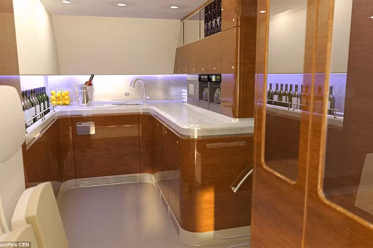 Hạm đội máy bay phục vụ Tổng thống Nga Putin có đến 68 chiếc, trong đó 64 chiếc hoạt động, 4 chiếc dự trữ. Mỗi khi tổng thống công du nước ngoài, 4 máy bay chính sẽ sẵn sàng làm nhiệm vụ di chuyền. Máy bay mà ông Putin sẽ sử dụng không được biết đến cho đến khi cất cánh.