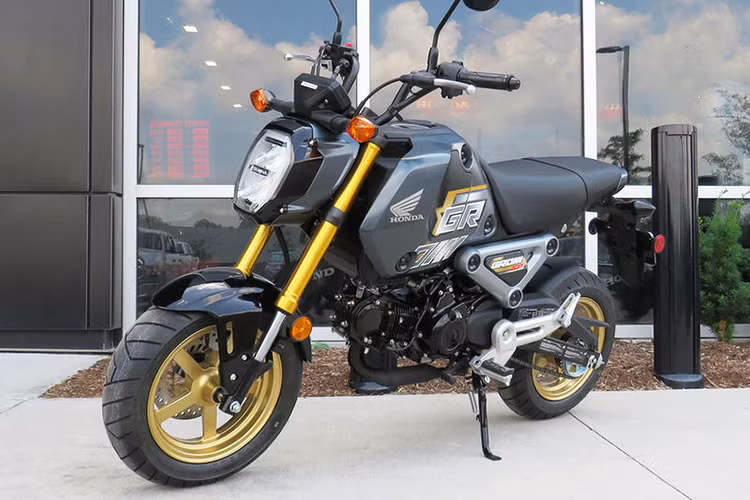 Tại thị trường Nhật Bản, giá xe Honda Grom 2024 có mức bán ra đề xuất là 355.000 Yên (khoảng 57,9 triệu đồng). Mức giá này chưa bao phí và thuế. So với thị trường Thái Lan, Grom ở Nhật Bản có thể đắt hơn một chút.