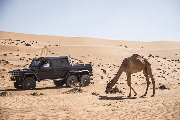 Đây là một bộ ảnh chiếc Mercedes G63 AMG 6×6 đẹp và đáng để thưởng thức được tạo nên bởi rất nhiều yếu tố. 