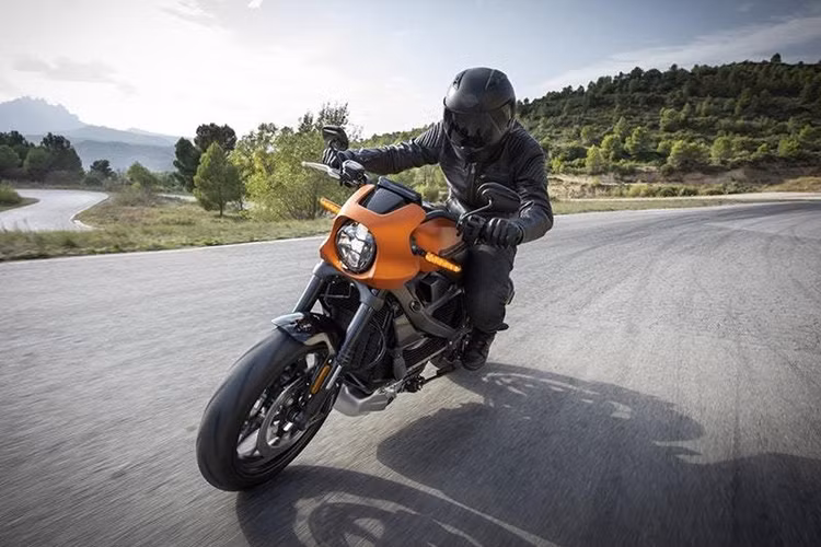 Một số trang bị đáng chú ý khác trên xe bao gồm khả năng kết nối với H-D Connect Service thông qua ứng dụng của Harley-Davidson trên điện thoại thông minh, giúp hiển thị tình trạng sạc của xe, phạm vi hoạt động với mức pin hiện tại và các trạm sạc gần nhất. Cùng với đó là hệ thống định vị GPS, giúp người dùng xác định vị trí của xe trong bãi gửi hoặc tìm xe trong trường hợp mất cắp.