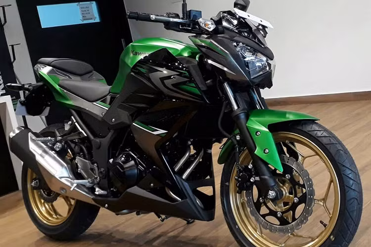 So với phiên bản cũ đang bán tại một số thị trường Châu Á, động cơ của Kawasaki Z250 phiên bản 2017 sẽ bị giảm công suất để đáp ứng tiêu chuẩn khí thải BSIV tại Ấn Độ. Động cơ vẫn kết hợp với hộp số 6 cấp như cũ, bình xăng dung tích 17 lít và chiều cao gầm 145 mm không đổi.